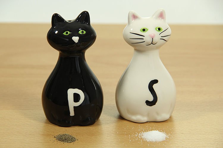 Salt and pepper shaker KITTENS Kind salt and pepper castors