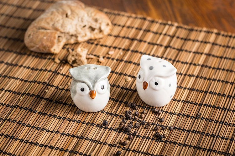Salt and pepper shaker OWL GADGET GIFT Brand Gadget Master