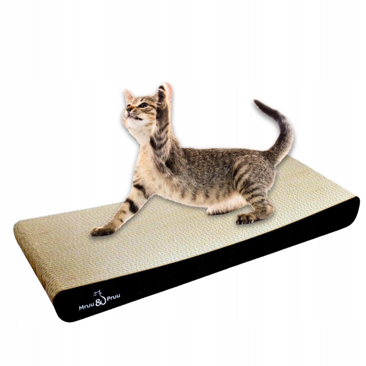 Scratcher cat bed CARDBOARD SIGMA Mruu&Pruu BLACK