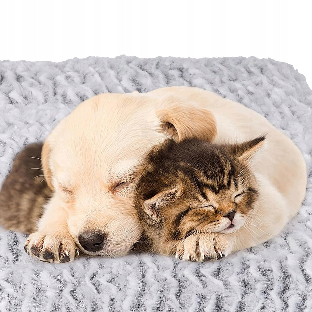 Self-Heating Mat for Pet Cat Dog 56 x 42 Thermal Insulation Bed Packaging status original