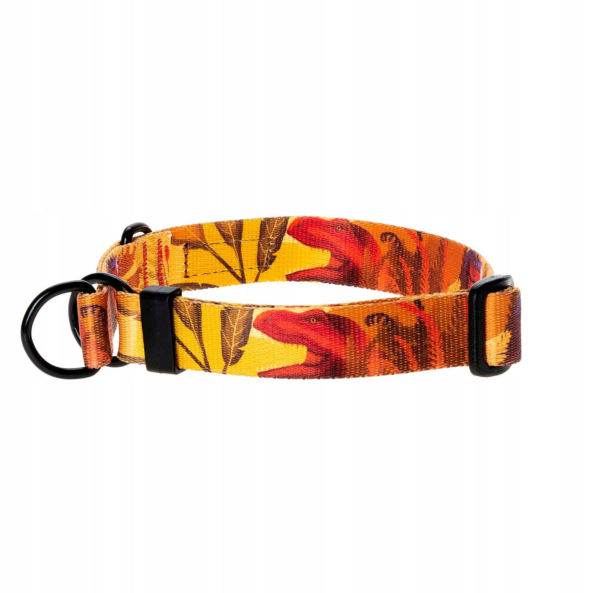 Semi-clamp collar for big dog 42-62 cm Ukory ORANGE dinosaurs Brand Ukory