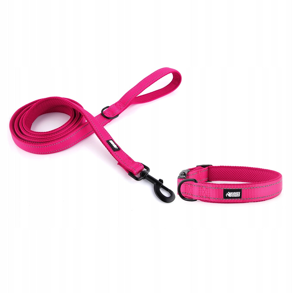 Set collar and leash Pink walking set for big dog HUGGY DOGGY L