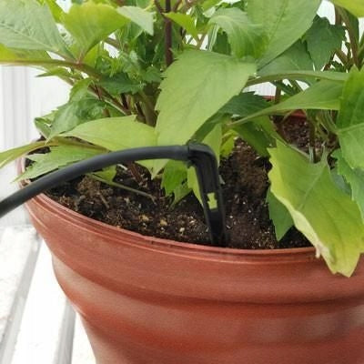 Set for irrigation of shrub vegetable flowers Brand Bradas