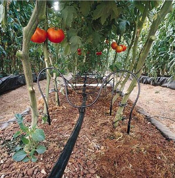 Set for irrigation of shrub vegetable flowers Manufacturer code Zestaw na 50 stanowisk