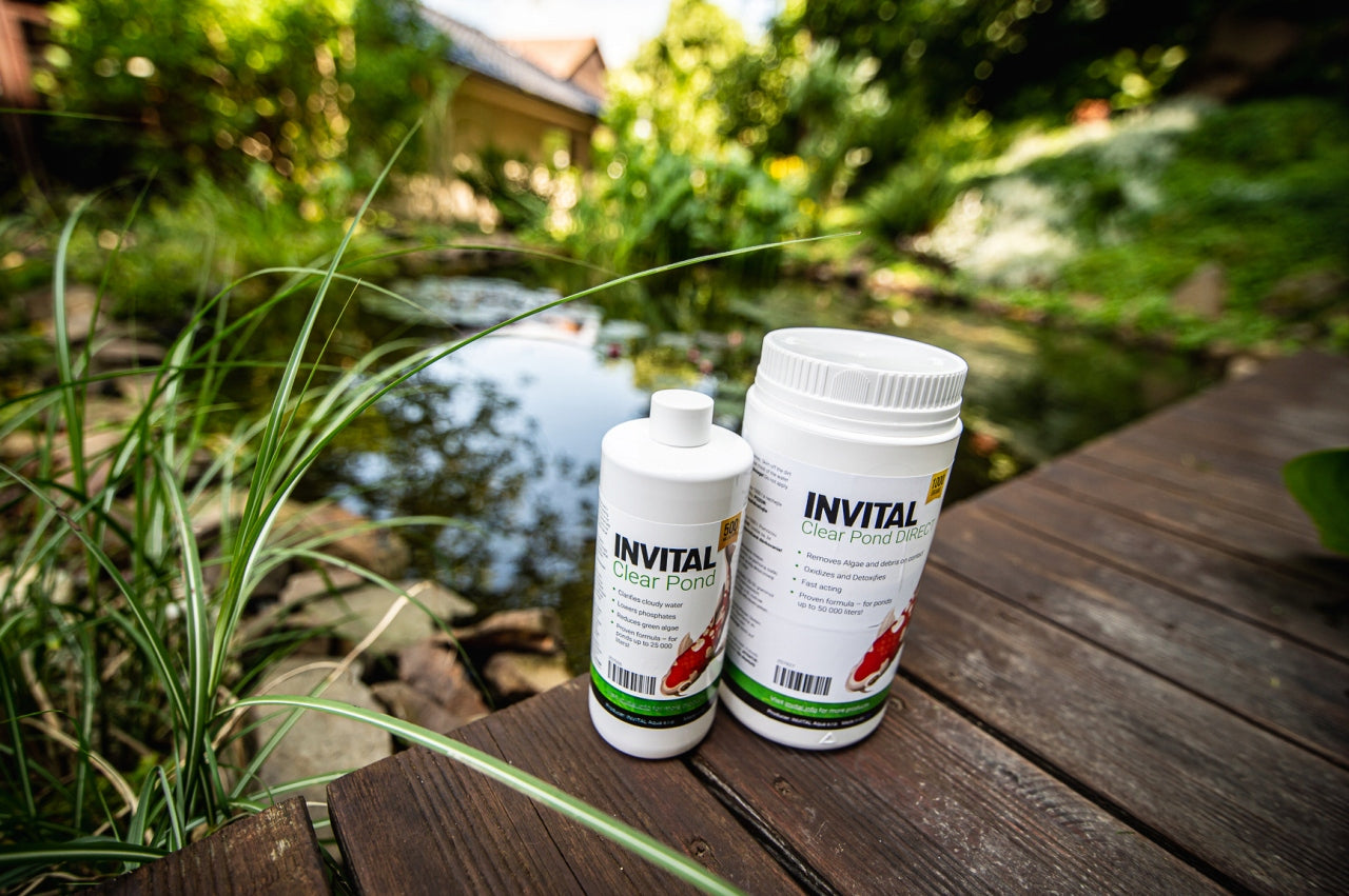 Set of 3 INVITAL Clear Pond Direct 1 kg eliminates thread algae Form powder