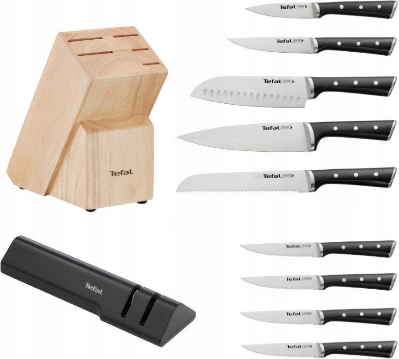 Set of 5 knives TEFAL Ice Force + block steak knives saw sharpener