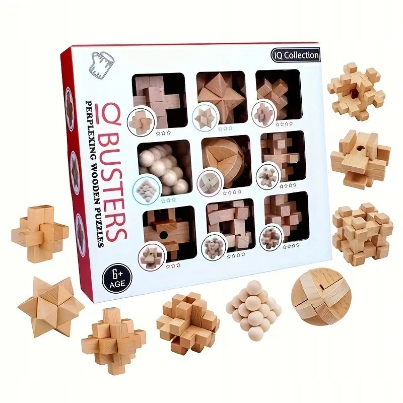 Set of 9 Wooden Puzzles IQ Busters Cube Puzzle Blocks Packaging status original