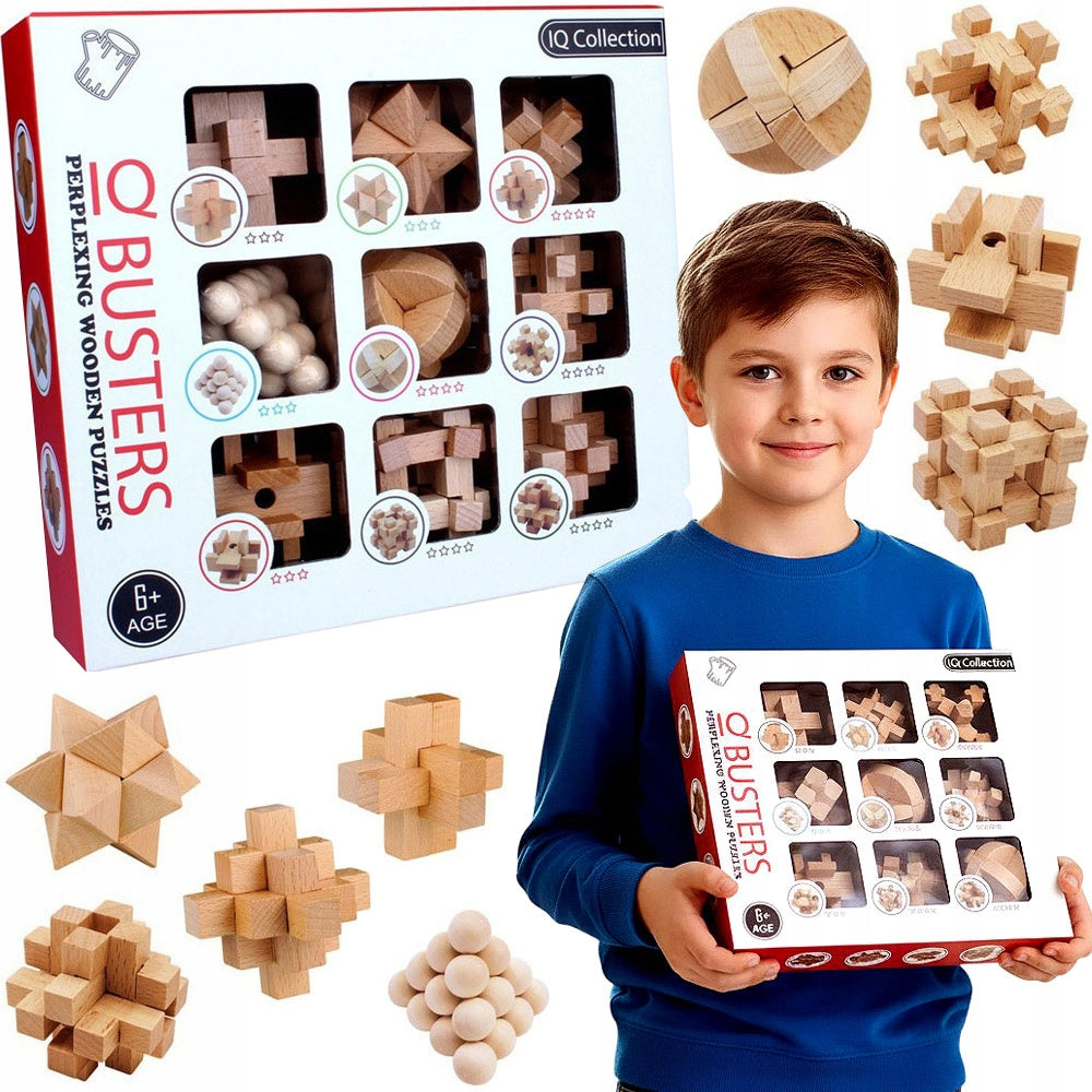 Set of 9 Wooden Puzzles IQ Busters Cube Puzzle Blocks