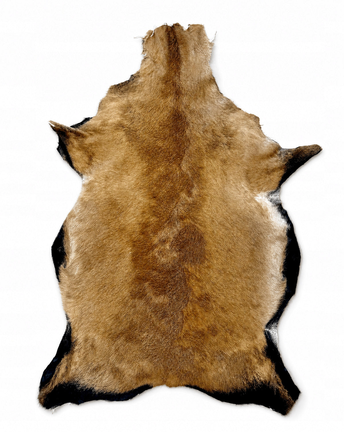 Sheepskin "CAMERIAN" Light brown-70cm/M (Lamb) 100%Natural!