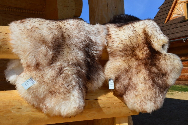 Sheepskin Muflon (Brown) Manufacturer XXL Color multicolor
