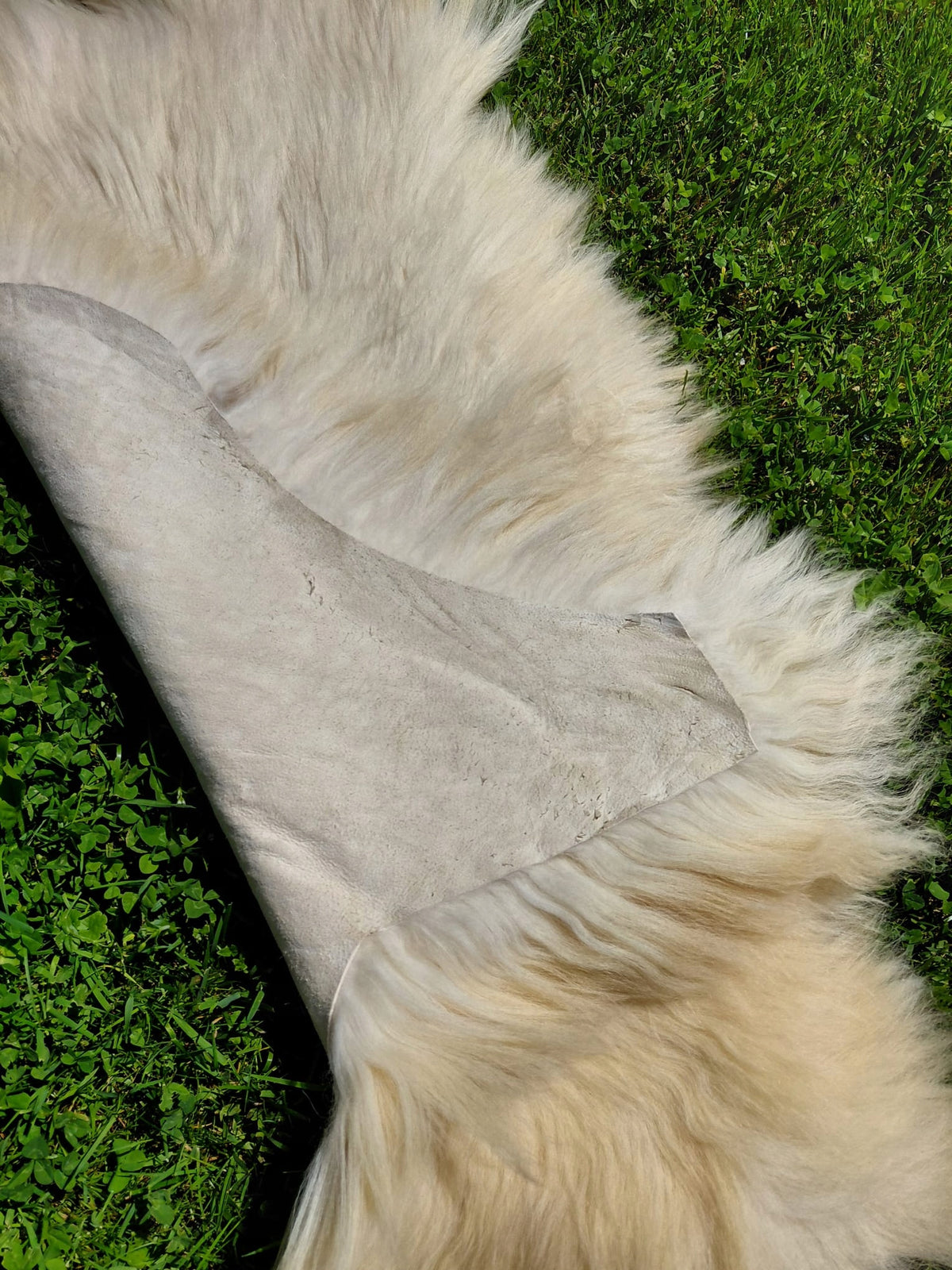 Sheepskin Podhale Cakla Sheepskin Mountain BaraNICA Sheepskin 100% Manufacturer code BP1