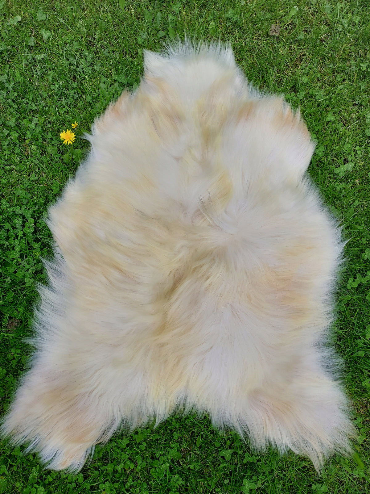 Sheepskin White 2 Class Natural Sheepskin Decorative Manufacturer code 01U