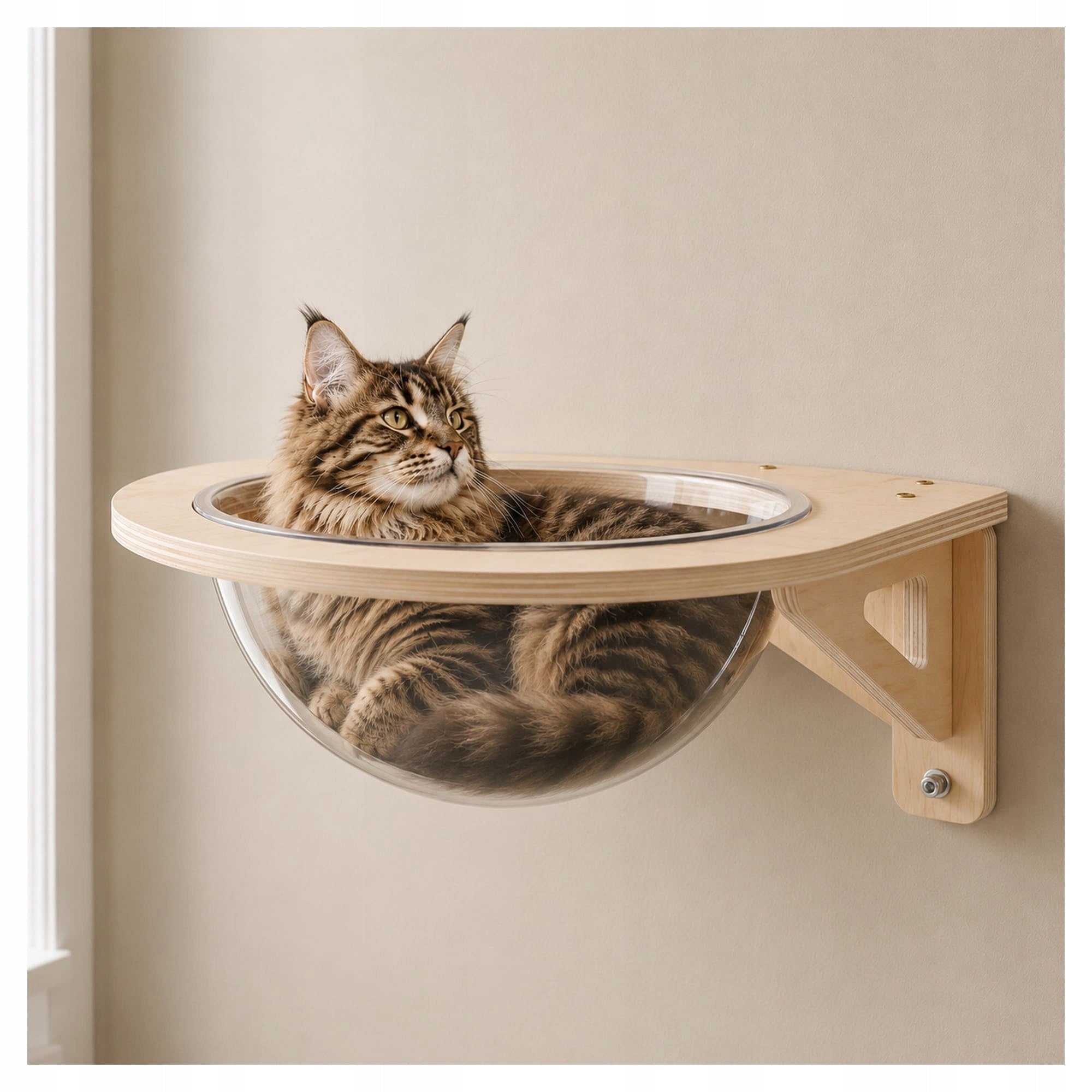 Shelf cat bed for wall Essosway Transparent capsule Length 40 cm