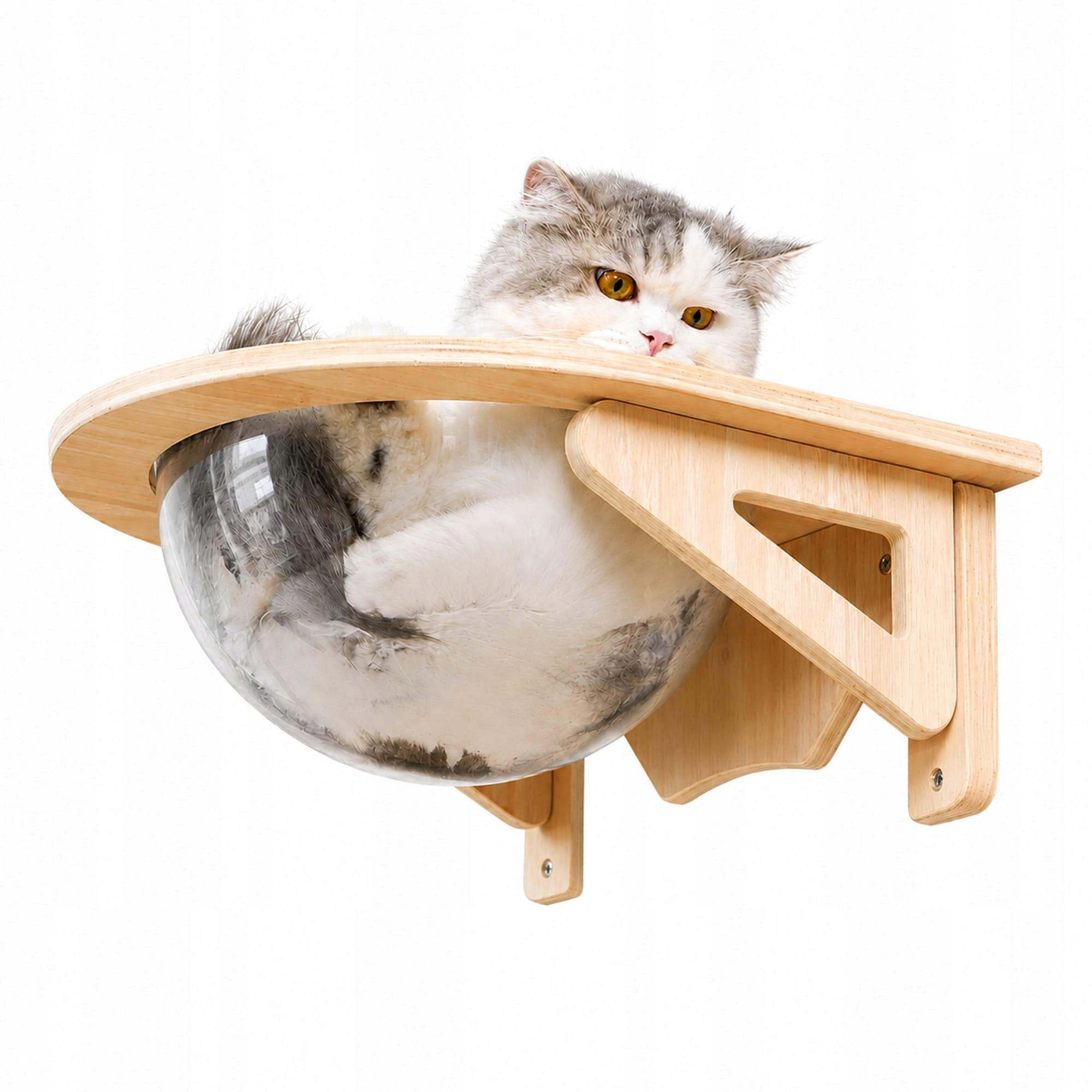 Shelf cat bed for wall Essosway Transparent capsule