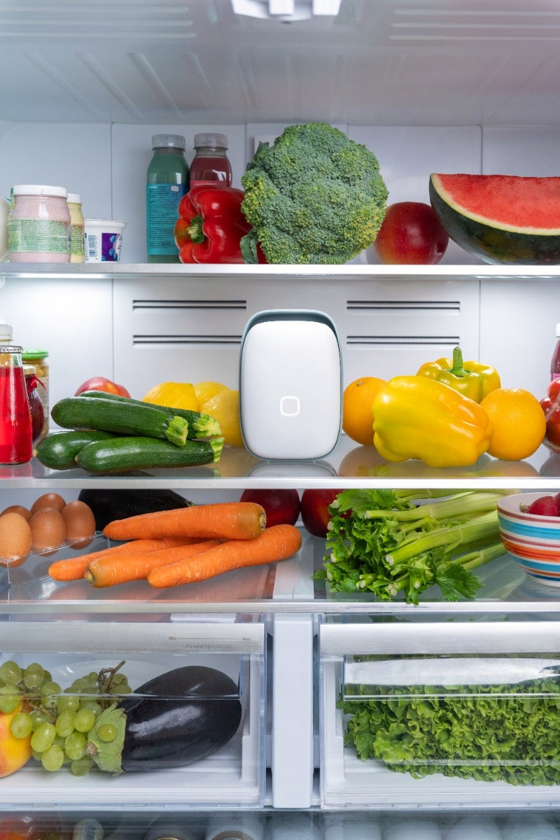 Shelfy purifier odor absorber for refrigerator smart app Manufacturer code SH02AA02