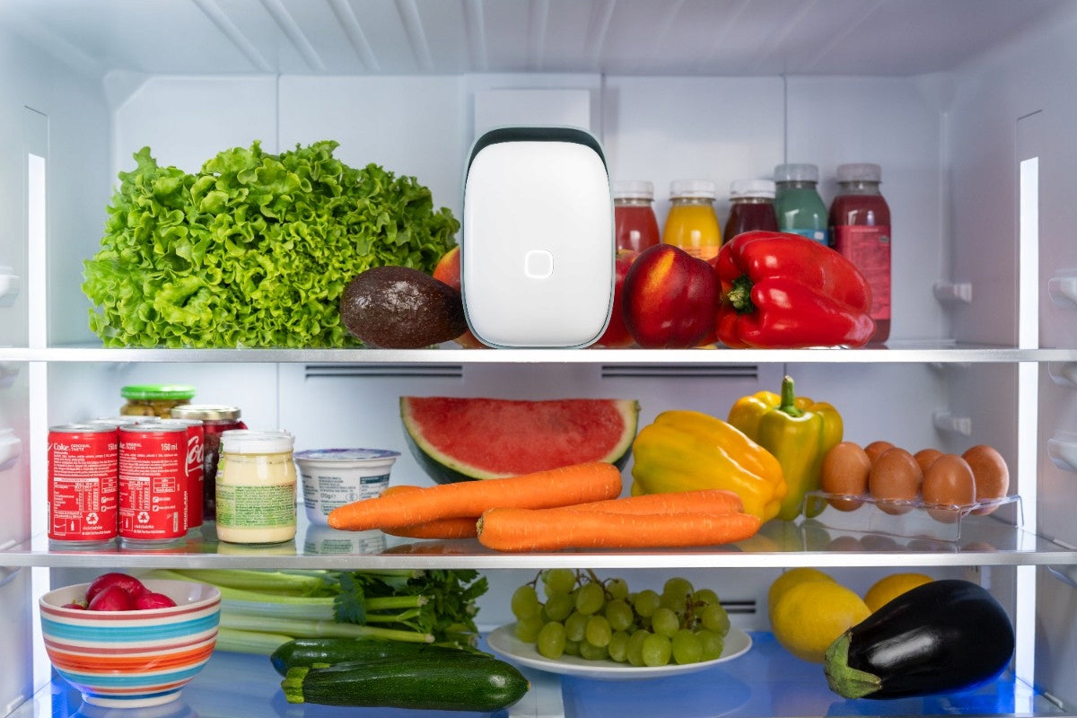 Shelfy purifier odor absorber for refrigerator smart app Packaging status original