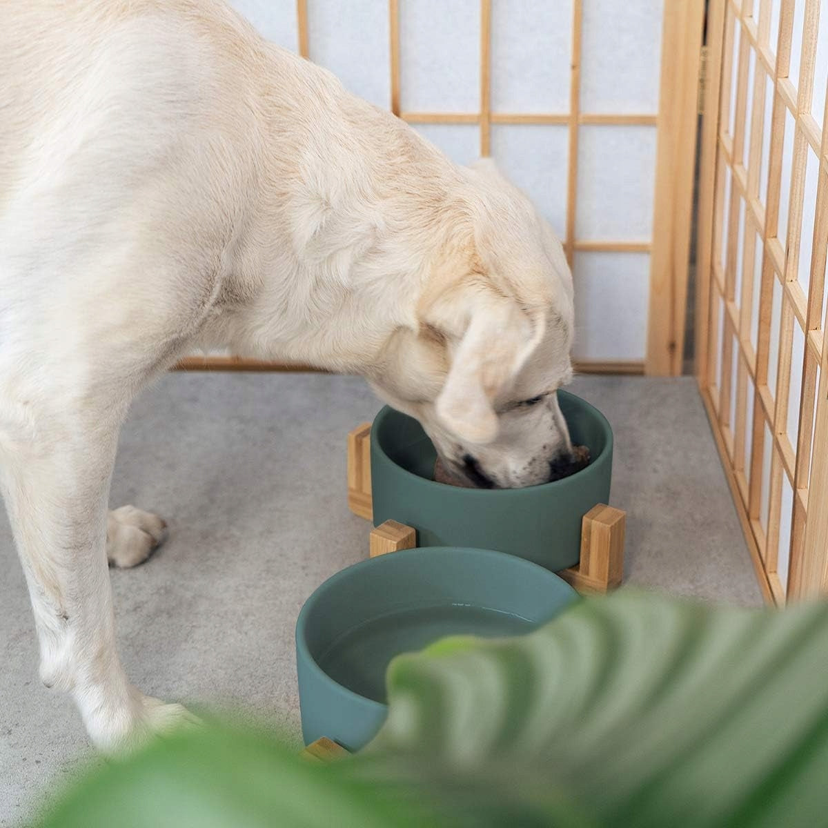 Single bowl ceramic shades of green 300 ml Brand no brand