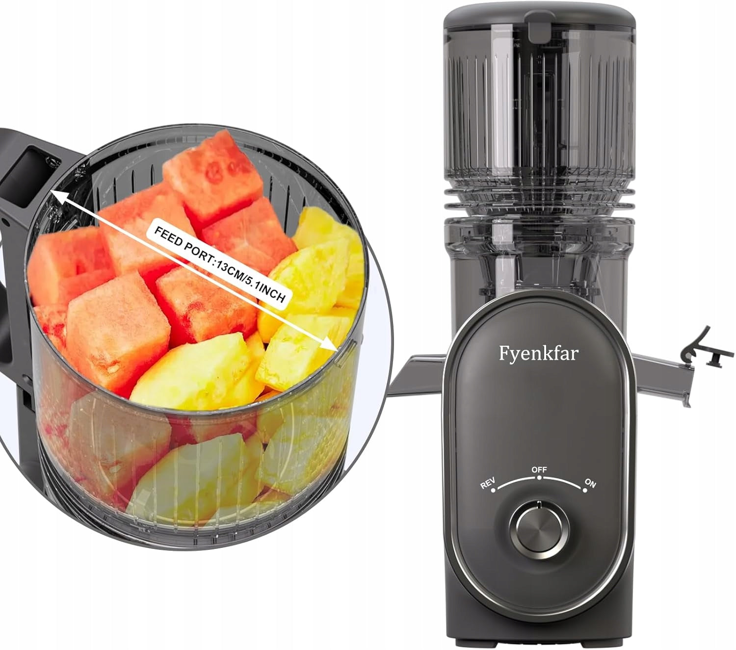 Slow Juicer 300W Fyenkfar, Silver Gray Reverse Gear Manufacturer code b0drrqj2sx