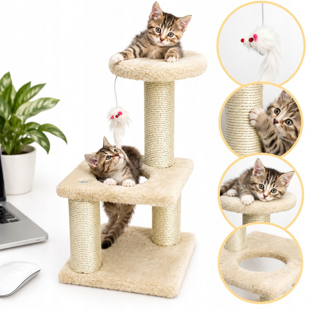 Small Cat Scratcher with Bed and Mouse VELVET – Compact Playground