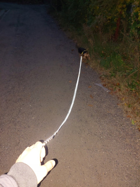 Small Dog Reflective Training Rope Lanyard 6mm 10m Traditional Manufacturer code 5905440489758