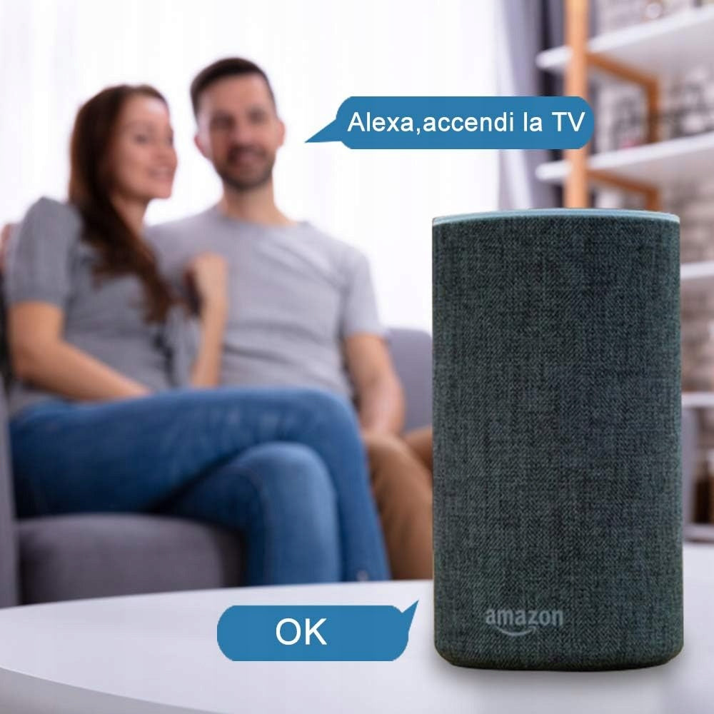 Smart Italian Aunics 2 Alexa Google Socket Manufacturer code W-IT016
