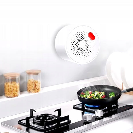 Smart gas combustible gas sensor Tuya WiFi audible alarm, light 230V Manufacturer code PST-RQ400A