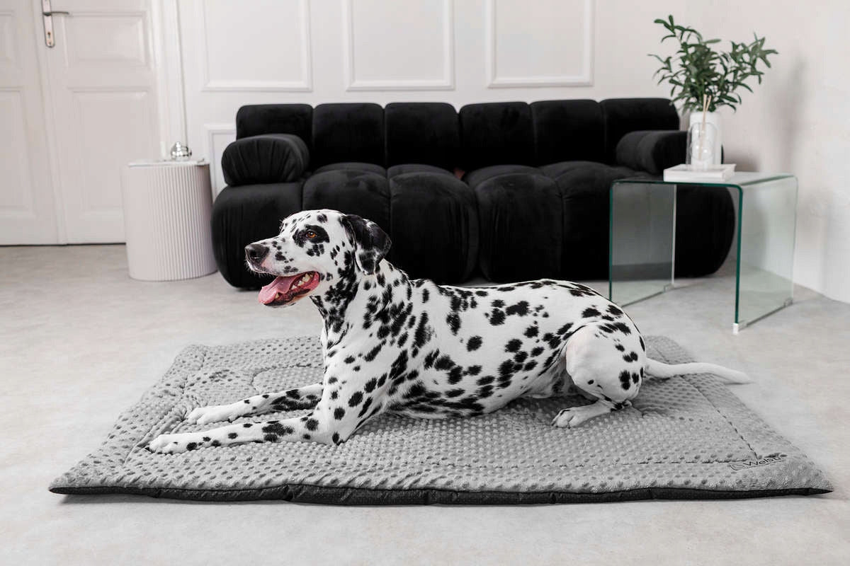 Soft Plush MINKY Dog Bed Mat 100x70 Bed Pillow Large EAN (GTIN) 5904422503765