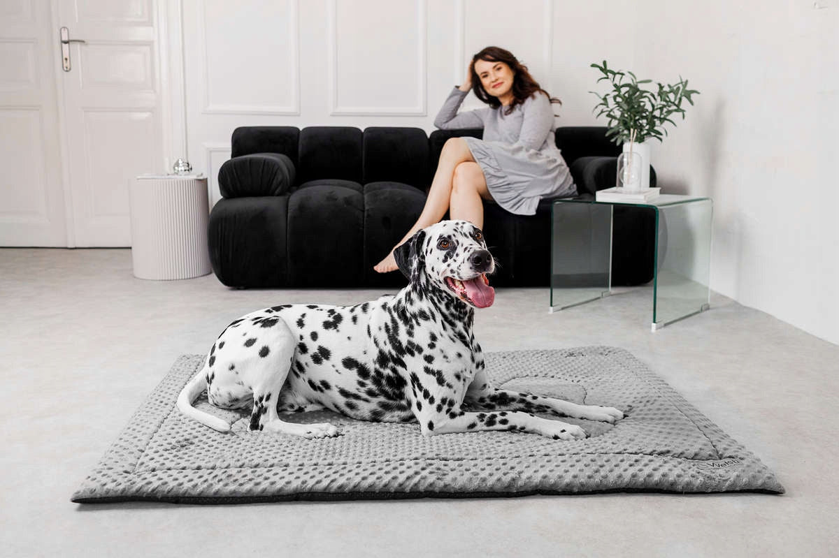 Soft Plush MINKY Dog Bed Mat 100x70 Bed Pillow Large Manufacturer code 786-uniw