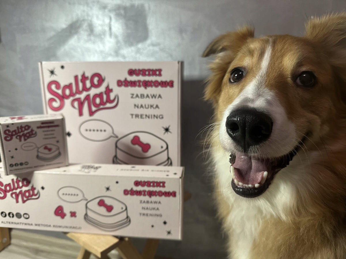 Sound button for dog - 1 pc. Salto_nat Packaging status original
