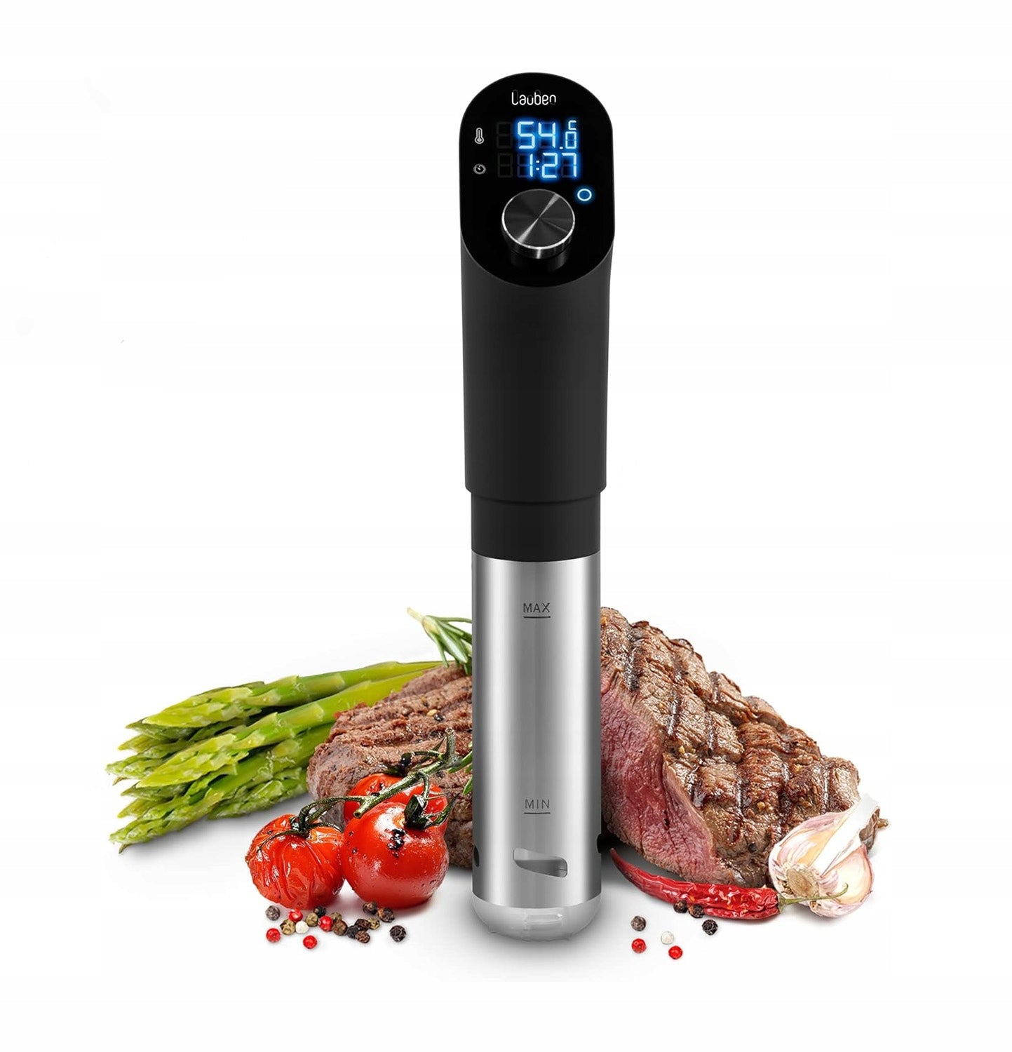 Sous Vide Submersible Cooking Circulator Lauben 20-90°C Case+Recipes