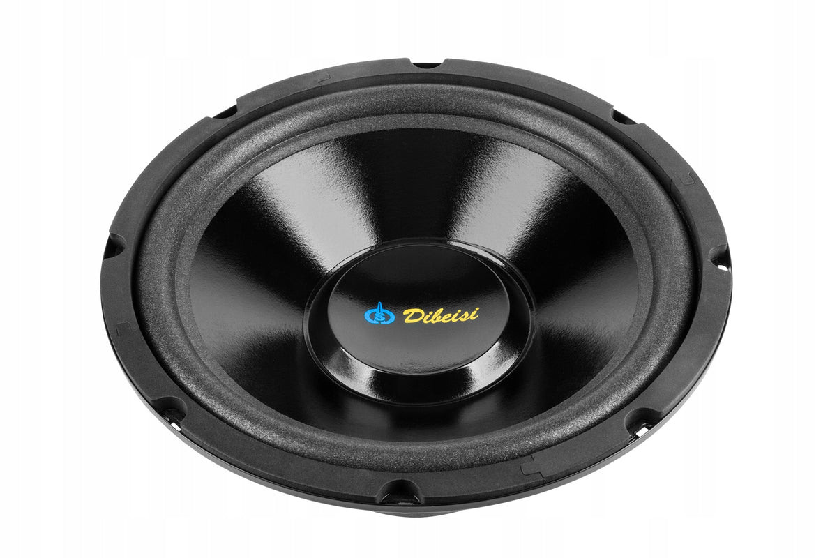 Speaker 10 Cali / 25cm 4 Ohm Dibeisi DBS-G1001