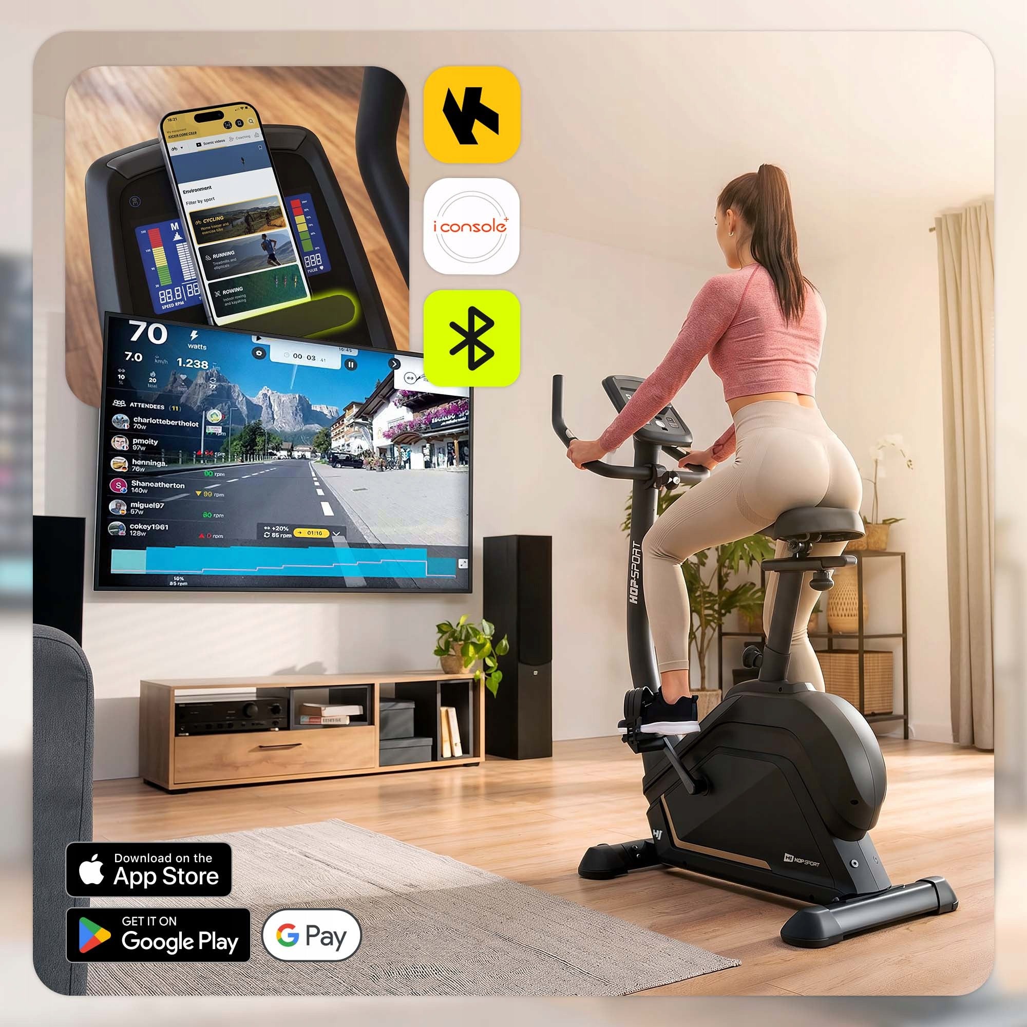Stationary Bike Electromagnetic Training Applications and Programs Packaging status original
