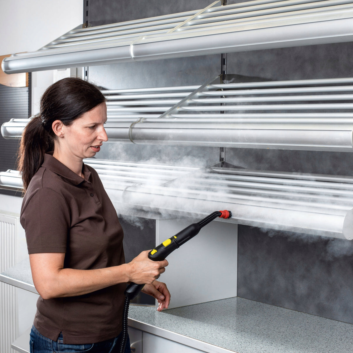 Steamer KARCHER SG 4/2 Classic Professional DISINFECTION max 145 °C Batteries included no