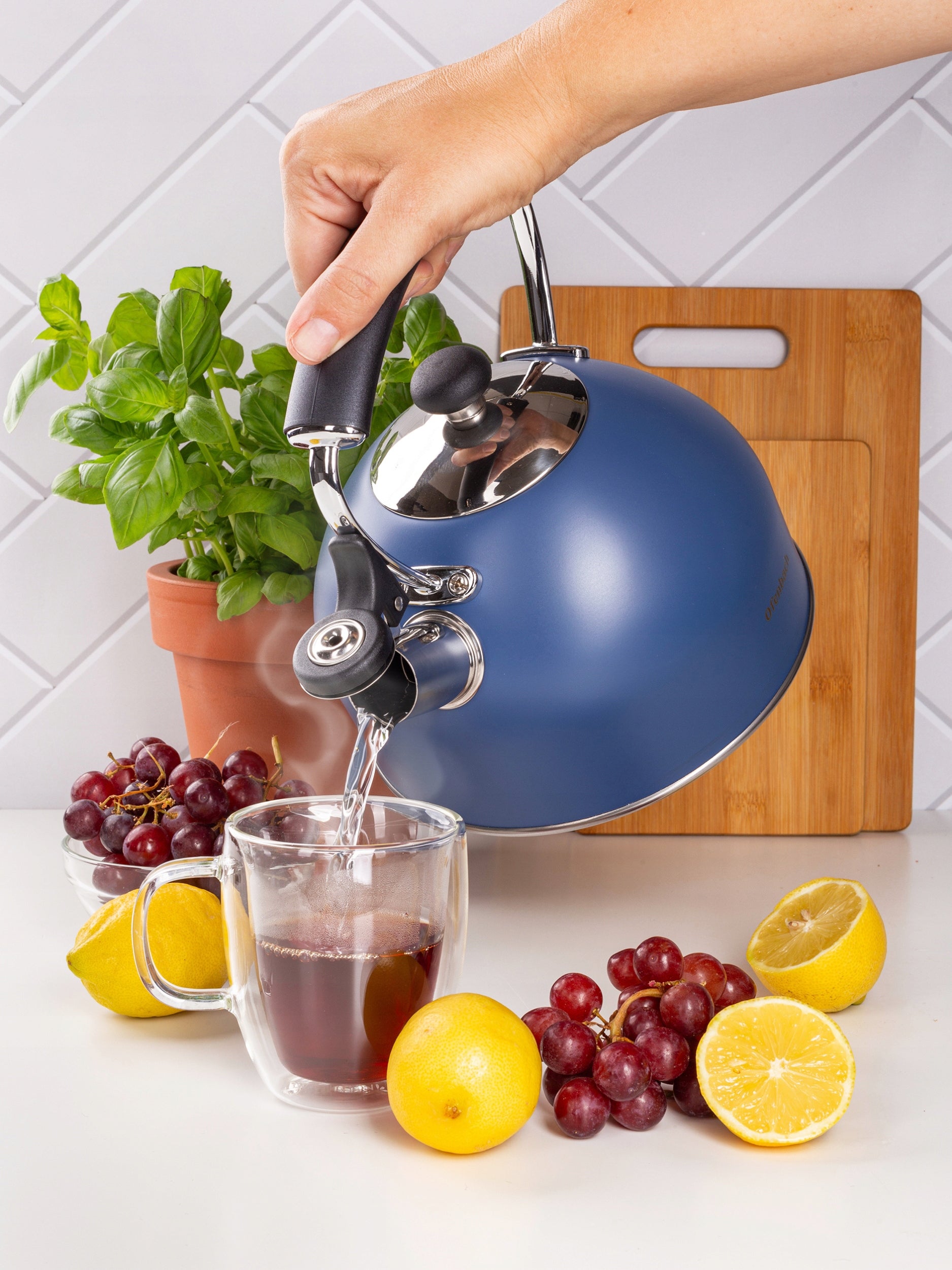 Steel kettle for gas induction MODERN DESIGN 2.2L OFENBACH Manufacturer code NB100327