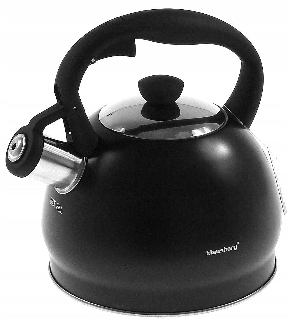 Steel kettle with whistle 2L Induction GAS BLACK