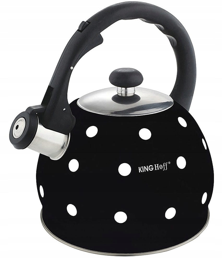 Steel kettle with whistle 2L Induction GAS Black