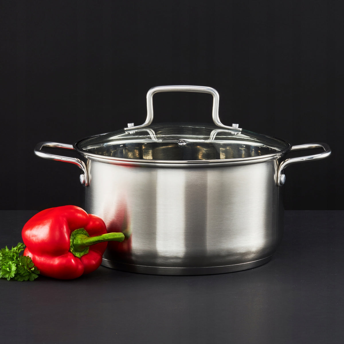 Steel pot with lid Hugo 20 cm AMBITION 44459 Capacity 3 l