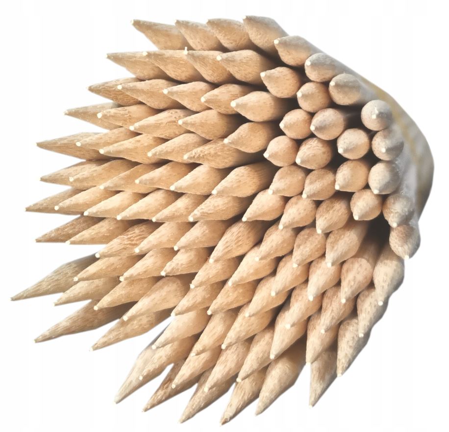 Sticks for TWISTED POTATO POTATOES 100pcs 50cm sharpened round Brand GASTROLANDIA