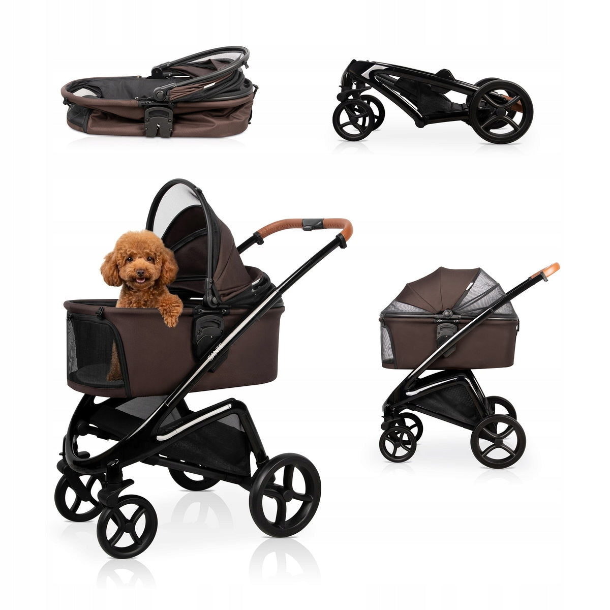 Stroller SANTE Carinio Height adjustment Mousse max 15 kg