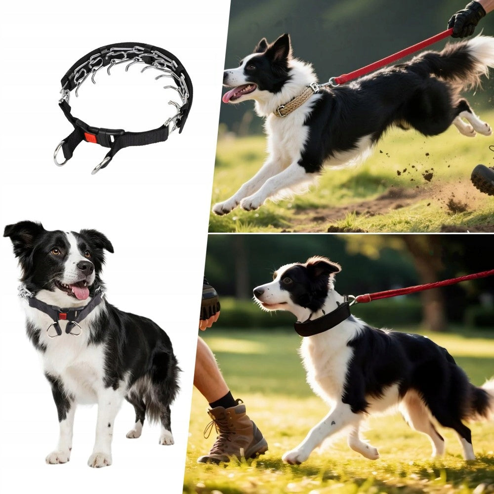 Strong Dog Collar Metal Steel Safe Training XL Packaging status original