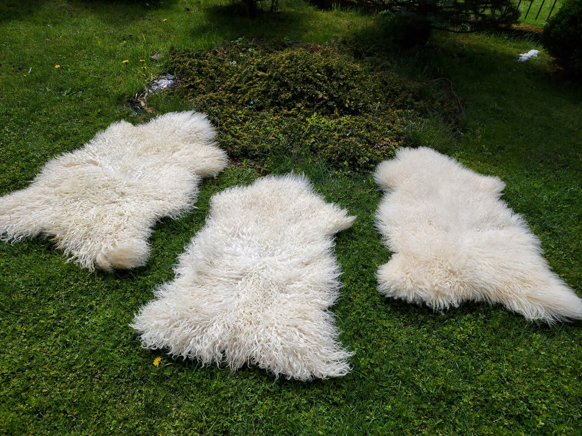 Swedish Sheepskin White Curly Hair Sheepskin Swedish Natural Manufacturer code SK061Sz