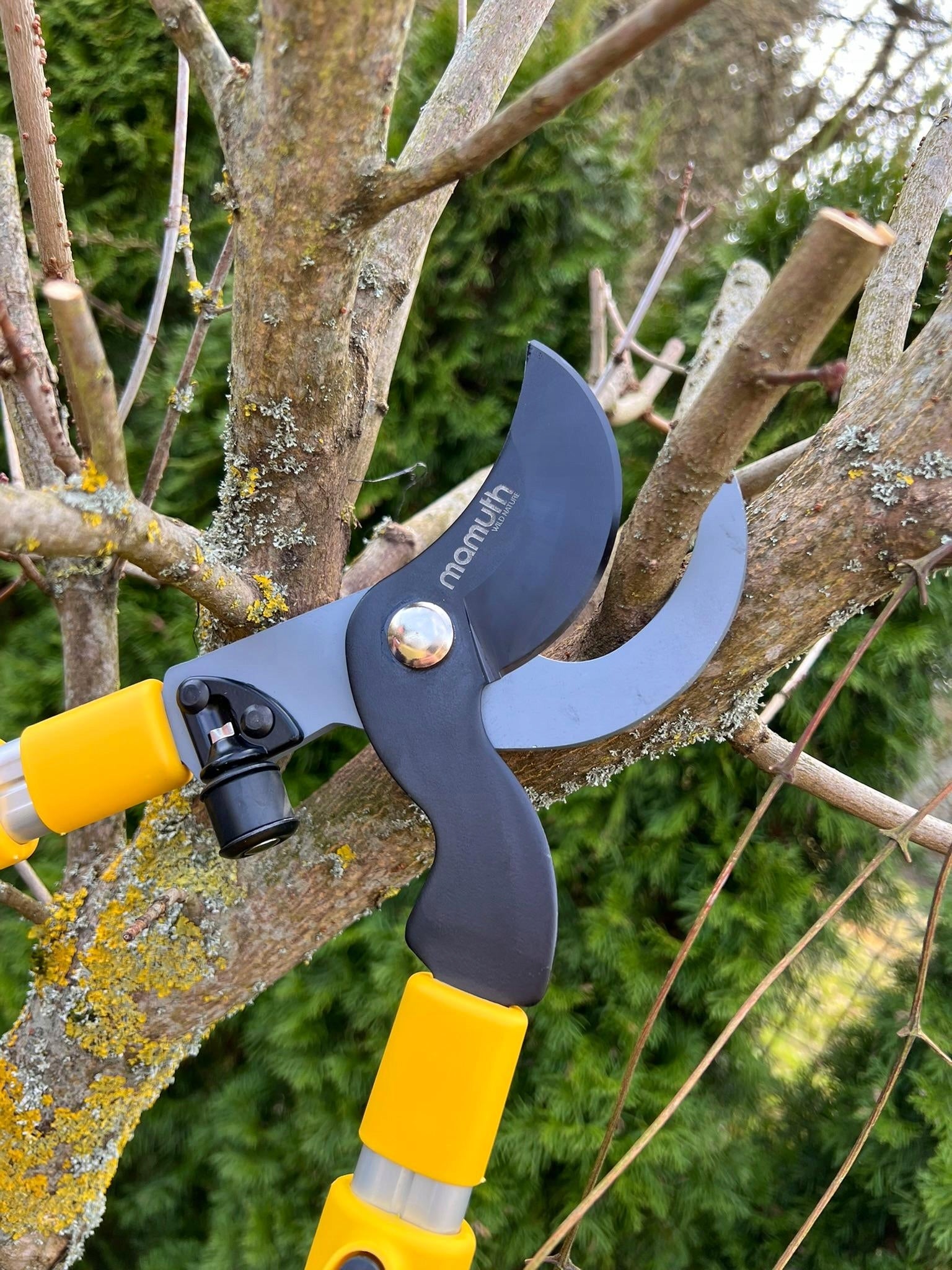 TELESCOPIC PRUNING SHEAR TWO-HANDED GARDEN SCISSOR FOR BRANCHES VX7 MAMUTH Batteries included no