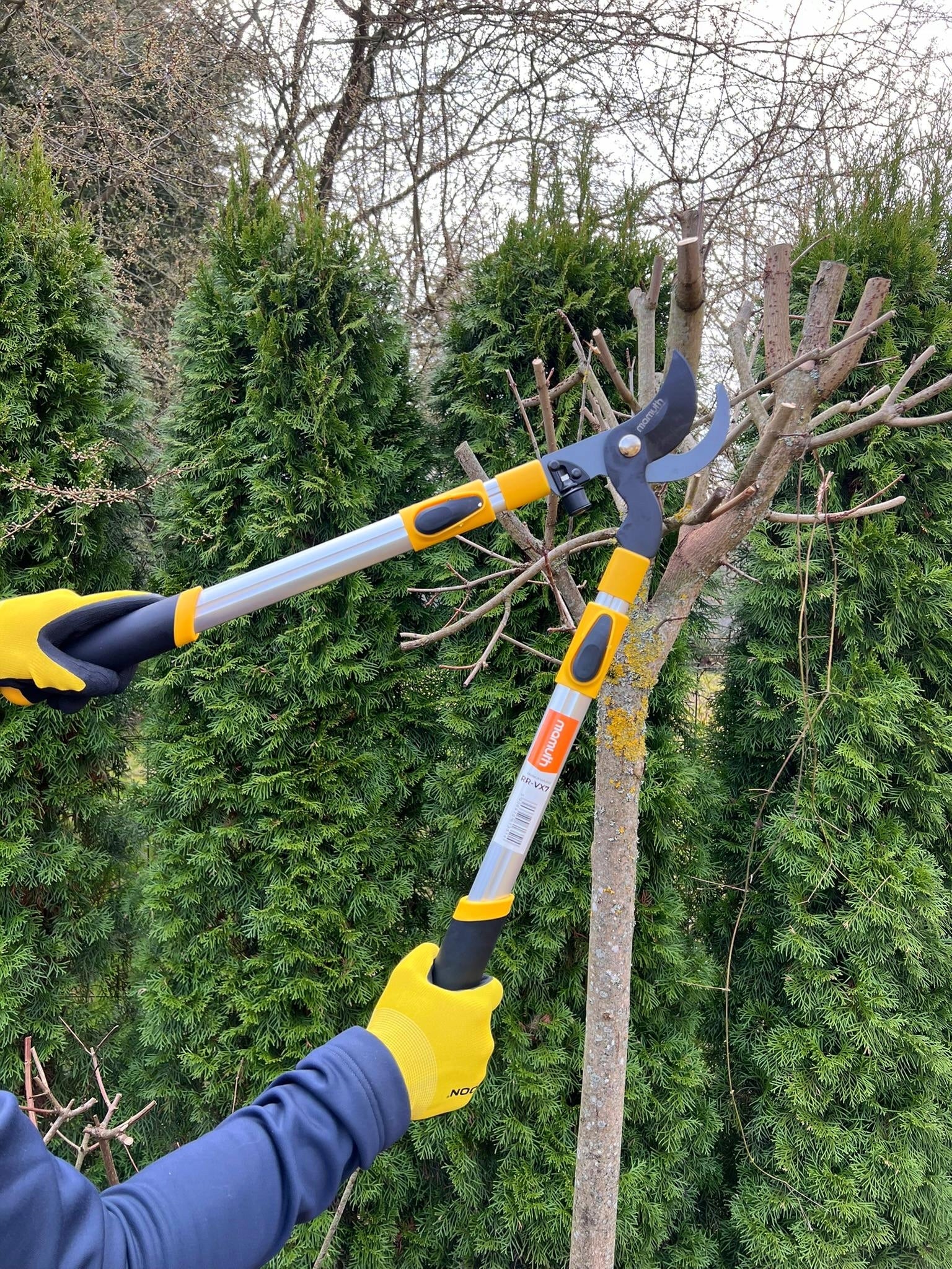 TELESCOPIC PRUNING SHEAR TWO-HANDED GARDEN SCISSOR FOR BRANCHES VX7 MAMUTH Maximum cut branch thickness 35 mm