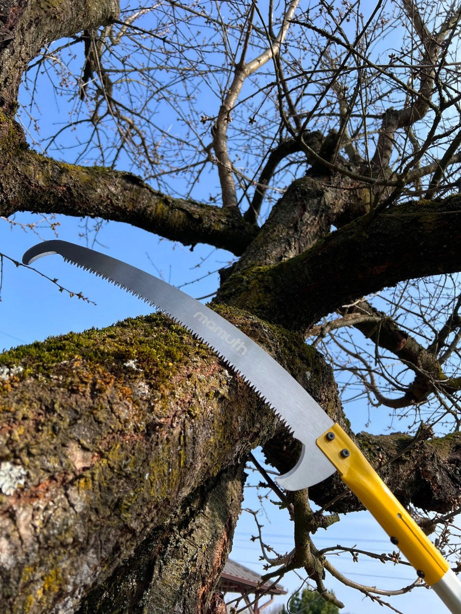 TELESCOPIC SAW 5,5m horticultural on boom 180-550cm for branches with HOOK Guide length 36 cm