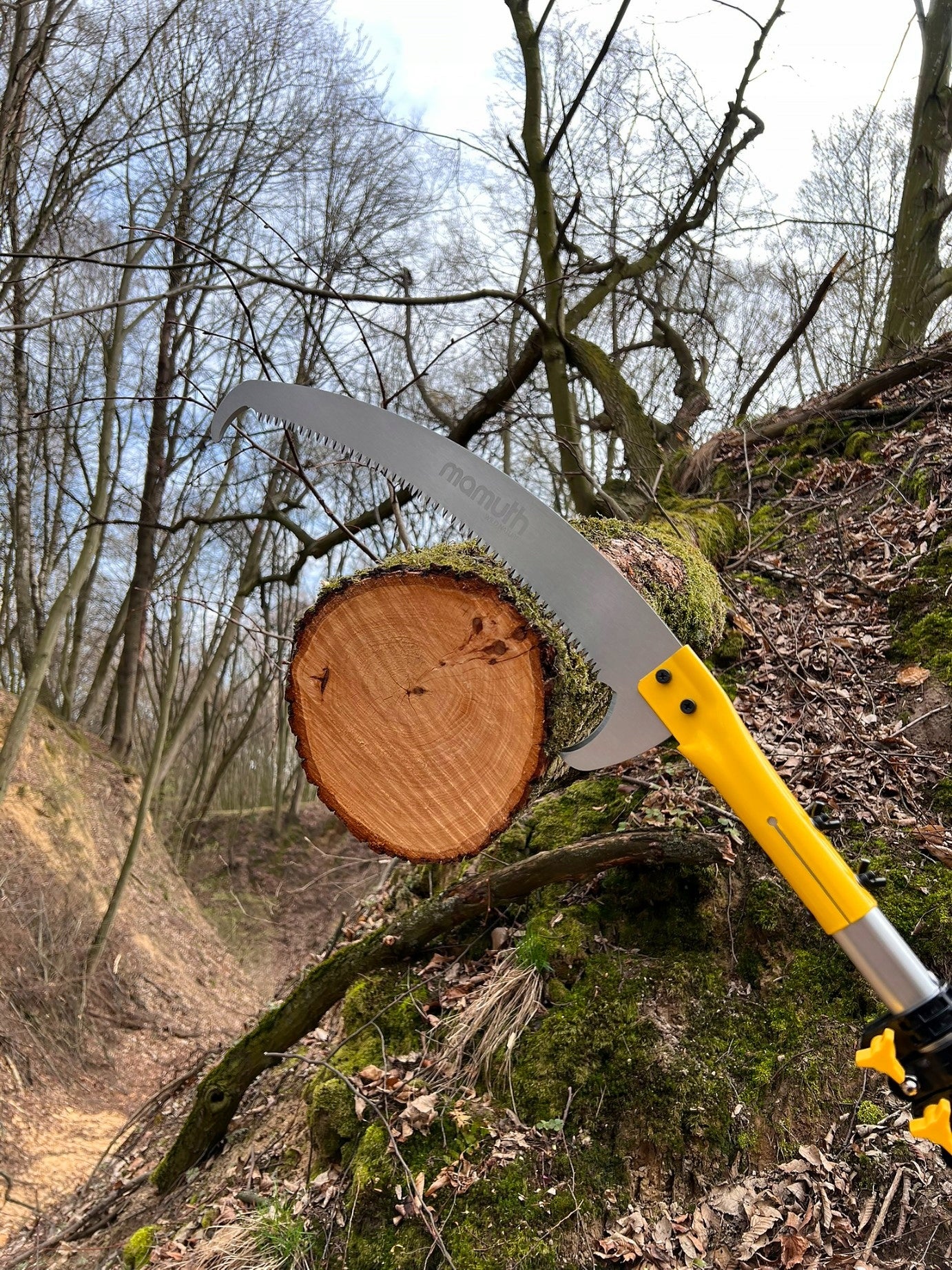 TELESCOPIC SAW 5,5m horticultural on boom 180-550cm for branches with HOOK Power supply handheld