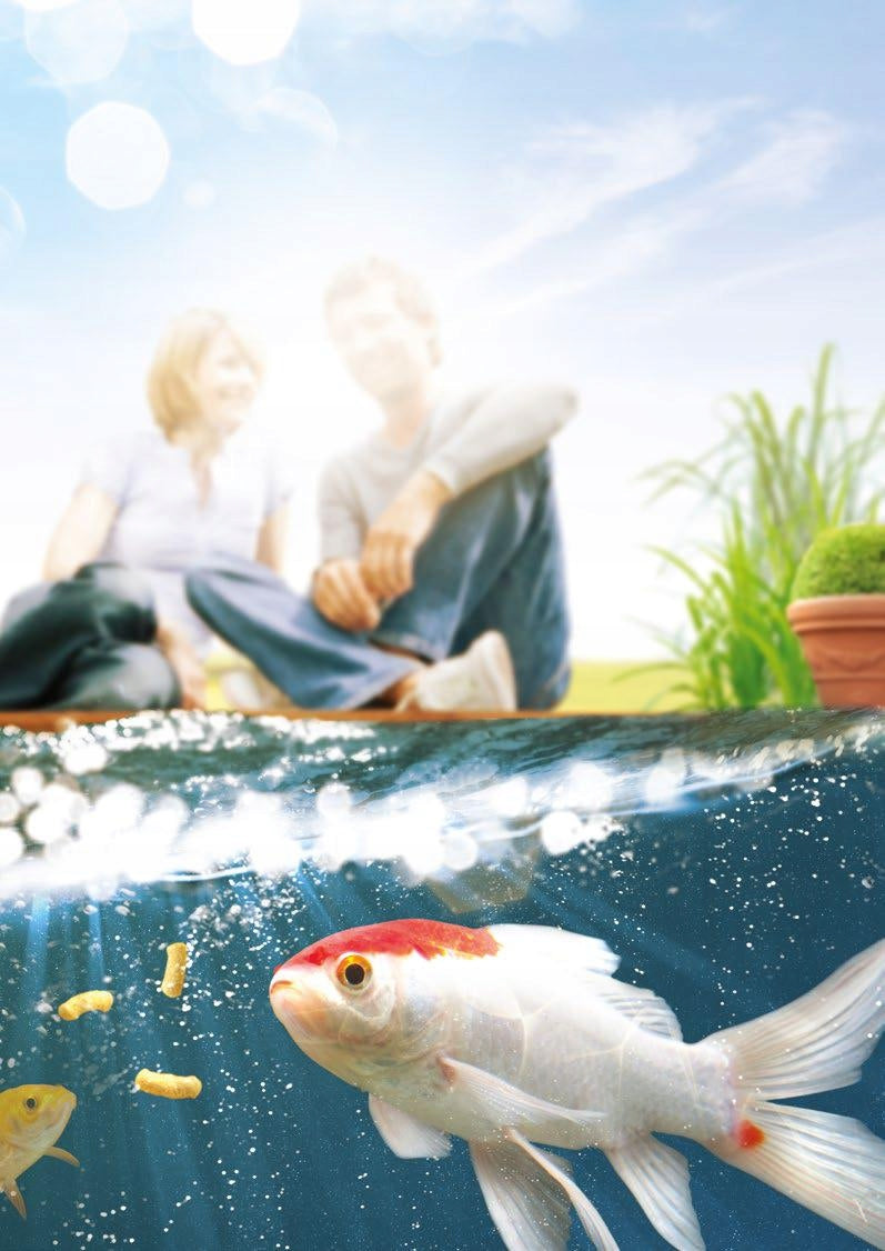 TETRA POND ALGOREM FOR GREEN WATER ALGAE 500 ML Purpose against algae