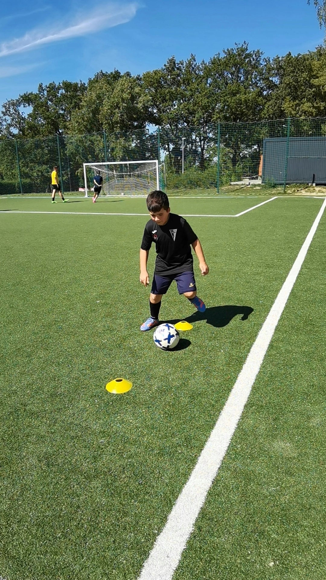 TRAINING AGILITY LADDER 6m FREEBIE CONES COORDINATION Brand no brand