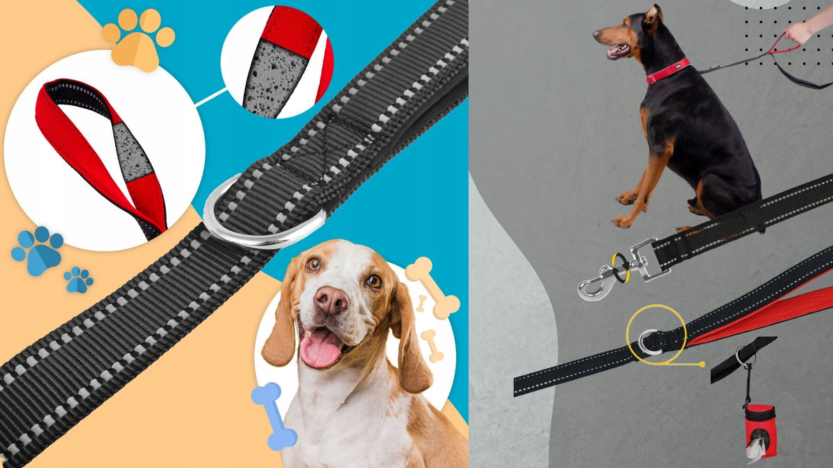 TRAINING LEASH FOR DOG STRONG 5m LONG REFLECTIVE ROPE DURABLE Brand Wobell