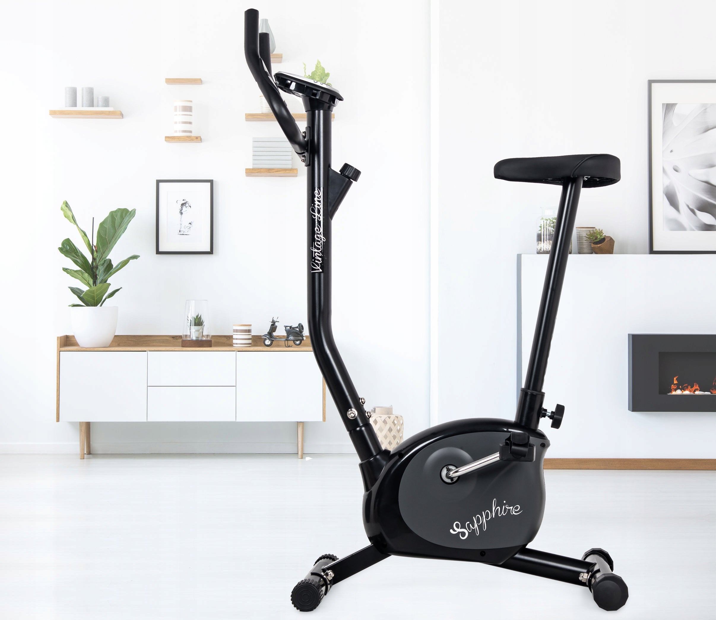 TRAINING bike stationary fitness for home apartment VERTICAL adjustment V EAN (GTIN) 5903228927799
