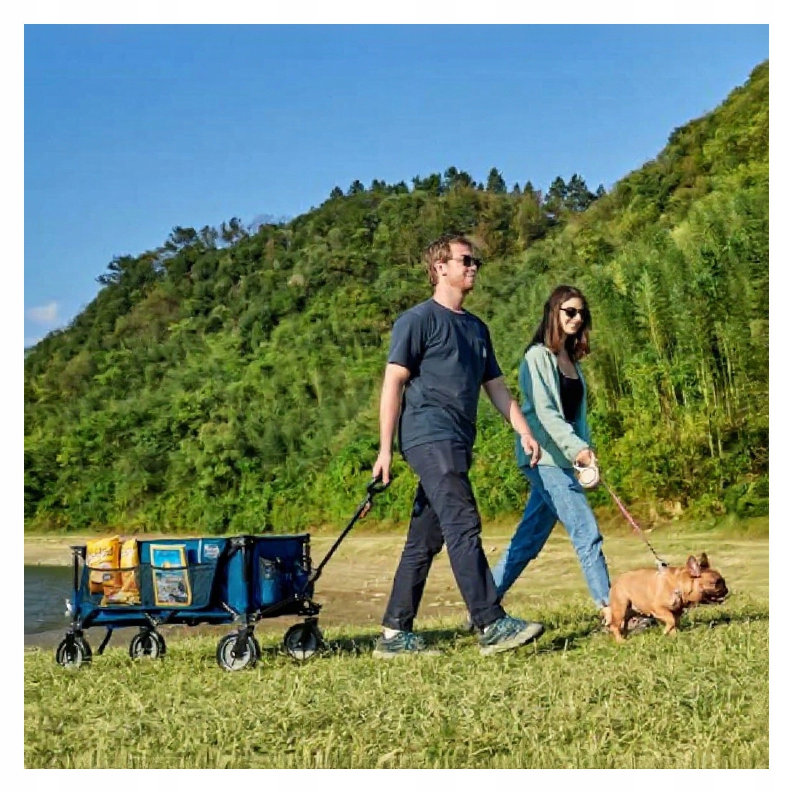 TRANSPORT FOLDING TROLLEY 200L LIFTING CAPACITY 100 KG ADJUSTABLE HANDLE Packaging status original
